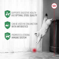 Probiotics for Cats Digestive and Immune Health Powder Supplement