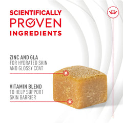 Skin & Coat Supplement Soft Chews for Adult Dogs