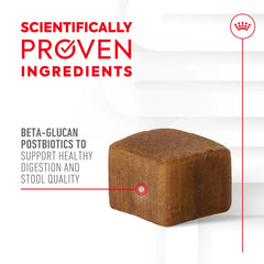 Digestive Supplement Soft Chews for Adult Dogs