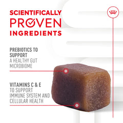 Immunity Digestion Chews (Puppy)