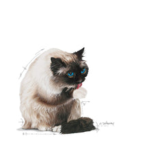 Hairball Care Dry Cat Food