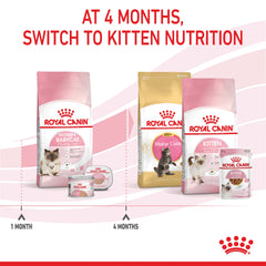 Mother & Babycat Dry Cat Food
