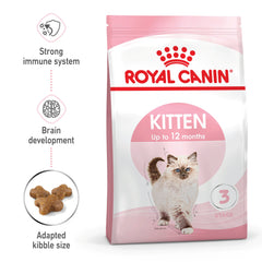 Kitten Dry Cat Food