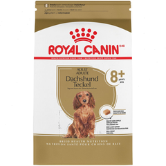 Dachshund 8+ Adult Dry Dog Food