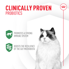 Probiotics for Cats Digestive and Immune Health Powder Supplement
