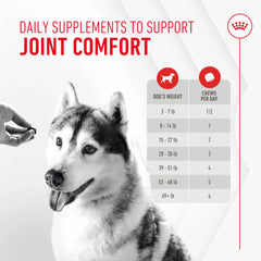 Joint Supplement Soft Chews for Adult Dogs