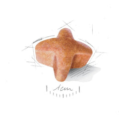 German Shepherd Adult 5+ Dry Dog Food