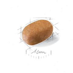 Maltese Adult Dry Dog Food