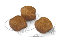 Medium Dental Care Dry Dog Food