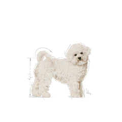 Bichon Frise Adult Dry Dog Food