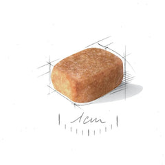 Chihuahua Adult Dry Dog Food