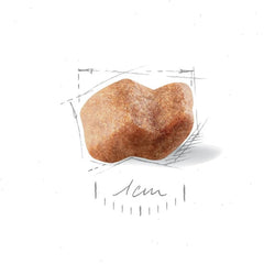 Boxer Puppy Dry Dog Food