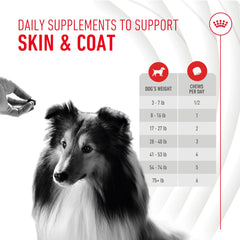 Skin & Coat Supplement Soft Chews for Adult Dogs