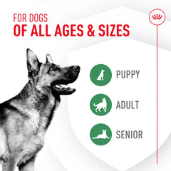 Probiotics for Dogs Digestive and Immune Health Powder Supplement