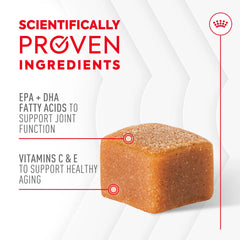 Joint Supplement Soft Chews for Adult Dogs