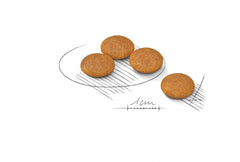 Small Sensitive Skin Care Dry Dog Food