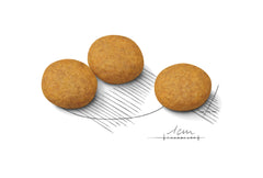 Medium Sensitive Skin Care Dry Dog Food