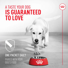 Probiotics for Dogs Digestive and Immune Health Powder Supplement