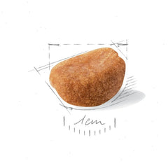 Rottweiler Puppy Dry Dog Food