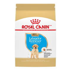 Labrador Retriever Puppy Dry Dog Food