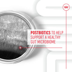 Digestive Supplement Soft Chews for Adult Dogs