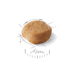 Yorkshire Terrier Adult 8+ Adult Dry Dog Food