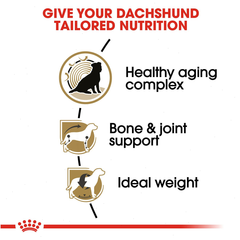 Dachshund 8+ Adult Dry Dog Food